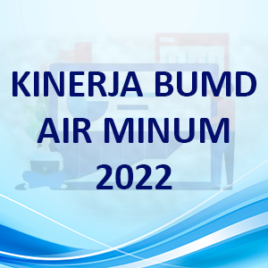 Buku Evaluasi Kinerja BUMD AM 2022